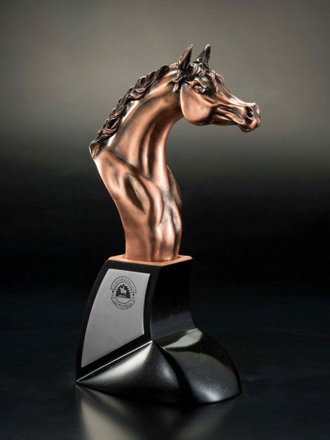Picture of Head Horse Trophy (Small) - KAAHCAD